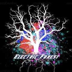 Sidhion - Electric Forest Promo mix