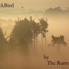 Blackbird