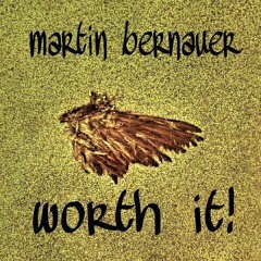 Martin Bernauer - Worth It!