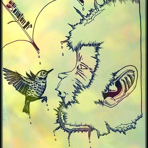 wet monkey, wet bird