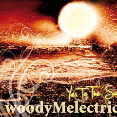 Woody Melectric - Yes to the sun
