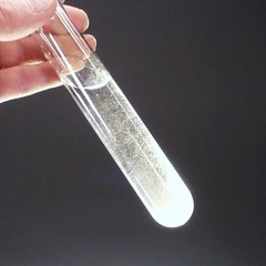 Undistilled Extract of Transience