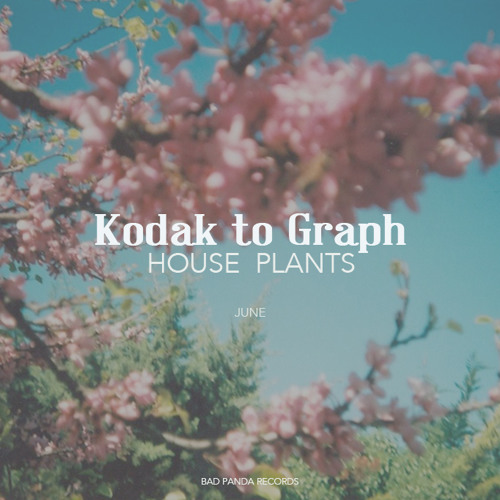 Kodak To Graph - House Plants