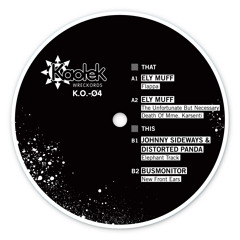 Johnny Sideways &amp; Distorted Panda - Elephant Track (Kaotek 04) 12" out now