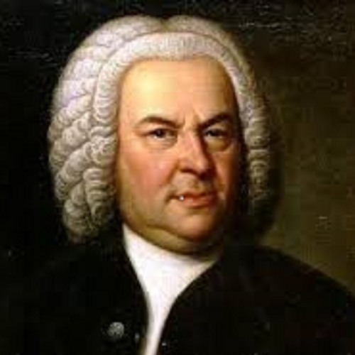 Air on a G string JS Bach  - Harm Smeets