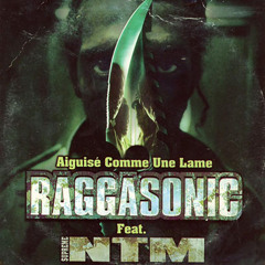 Ragga tonik (remix raggasonic)preview
