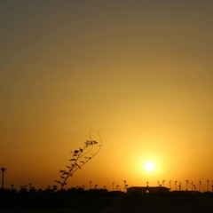 ابتهالات