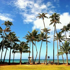 Underneath Palm Trees
