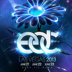 Tritonal - LIVE @ Electric Daisy Carnival 2013 (Las Vegas)