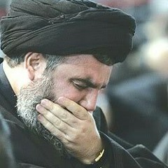 أرضيت يا رب؟ خذ حتى ترضى - السيد حسن نصر الله