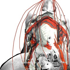 Andre Zeldenrust @RLGC 22-06-2013 Part 1