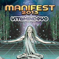Vitamindevo live at Manifest Festival 2013