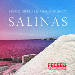 Salinas_Abel Riballo & DJ KDS ProgNight Edit