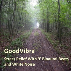 Stress Relief (9' Binaural Beats and White Noise)
