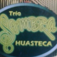 Trio Sombra Huasteca / Rinconsitos De Hidalgo