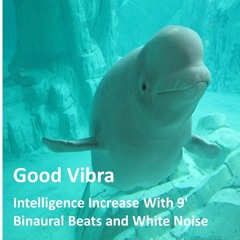 Intelligence Increase With 9' Binaural Beats and White Noise - Pls like this & repost