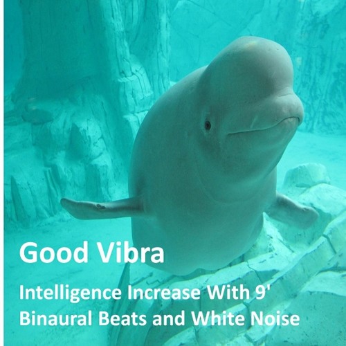 Intelligence Increase With 9' Binaural Beats and White Noise - Pls like this & repost