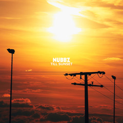 03 Blu - Soul Provider (Nubbz Remix)