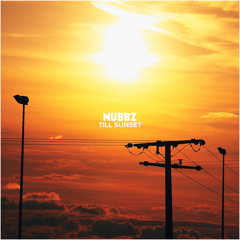 05 Freddie Gibbs - Terrorist (Nubbz Remix)