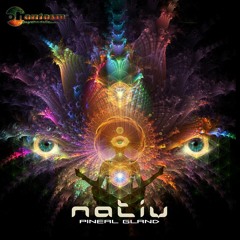 NATIV - PINEAL GLAND (EP PREVIEW)@PHANTASM RECORDS