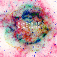 Blackbird Blackbird - Refresh