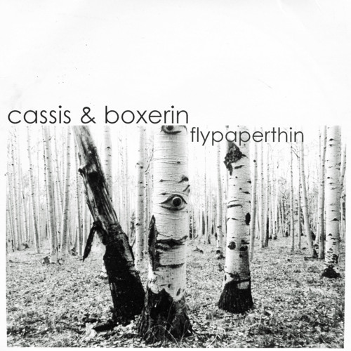 flypaperthin by CASSIS + BOXERIN CD