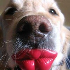 Hanging On - Ellie Goulding (Sound Remedy Remix)