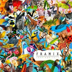 Framix-The Mistake (Mekkas remix) (new dl link)