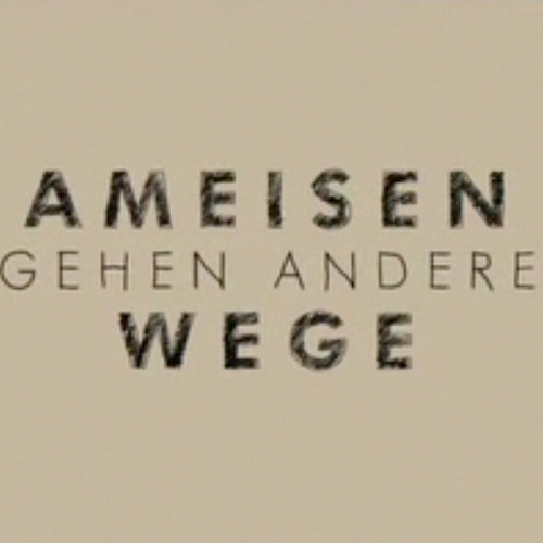 Coming Close + J Chucks AMEISEN GEHEN ANDERE WEGE