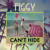 Artwork for Can't Hide