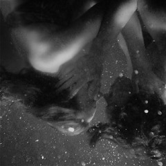 s k y w o l f ● Ro††eN