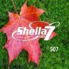 Lagu Mp3 Sheila on7 - Dan (Acoustic).Mp3 (3 MB)
