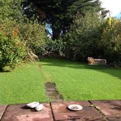 Evening Bird Song in the Garden