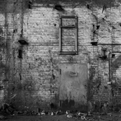 Podcast  The TransHumans Beauty and Decay