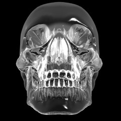 SickRat - Crystal Door