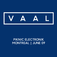 Vaal @ Piknic Electronik 09.06.2013