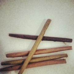 Smitty f Mylo Breed Donnydon-Rollin With Me