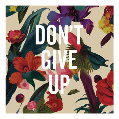 Don't Give Up