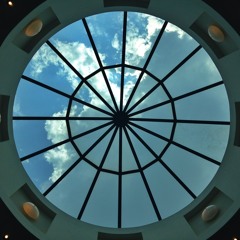 HELLA TREE$ (PREVIEW)