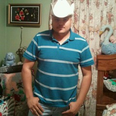 Un Mix  Chingo Puro Lejitimo