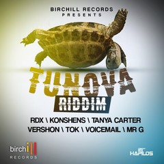 TUN OVA RIDDIM (Mixed by Di Nasty)