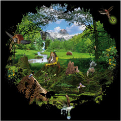 Dominik Eulberg - - Das Neunauge (Unofficial Dirk Wanke Remix)