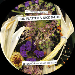 Ron Flatter & Nick D-Lite - Jetlands (Oscar OZZ Remix)