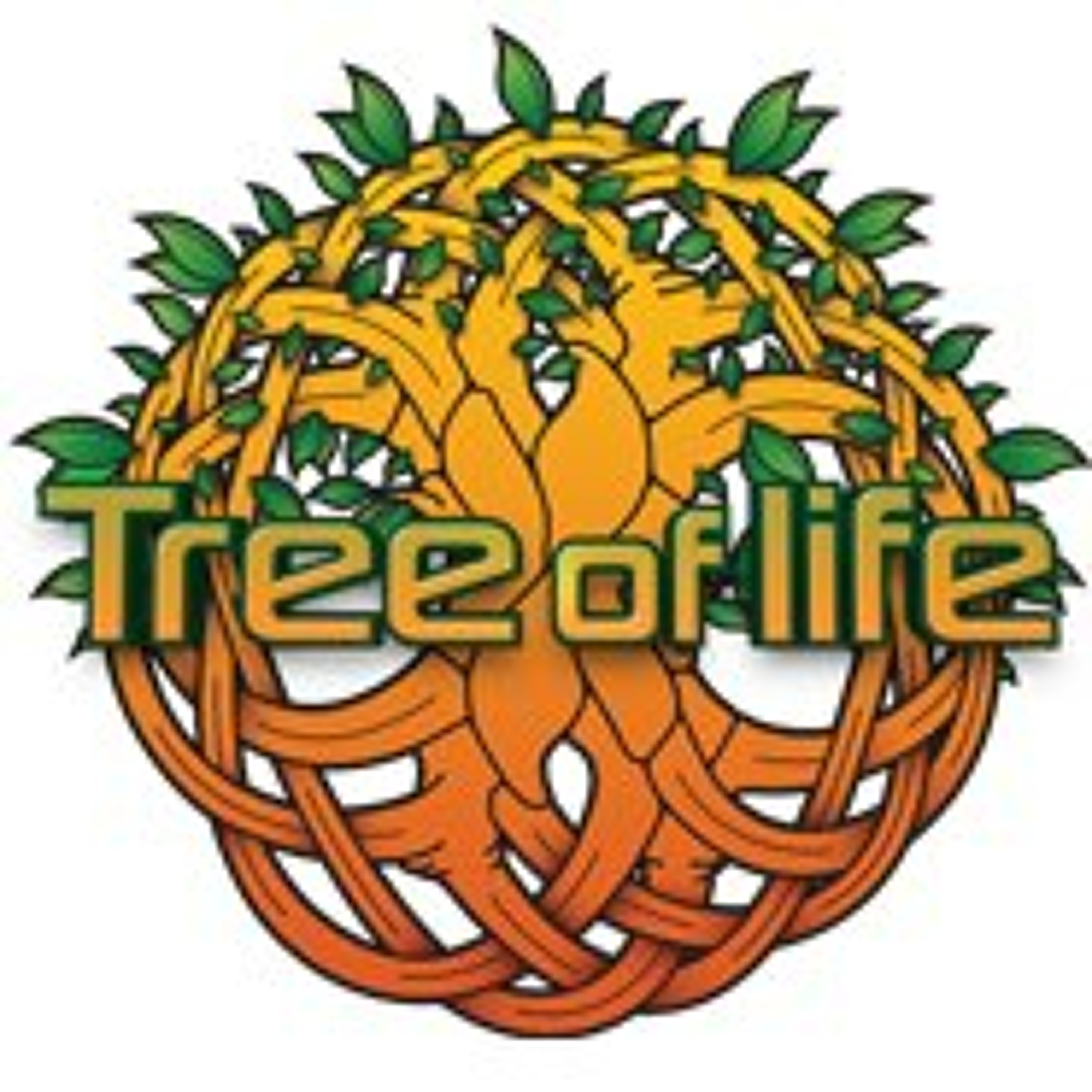 DJ Johnny Blue @ Tree Of Life Festival 2013 (Lake Stage) episode artwork