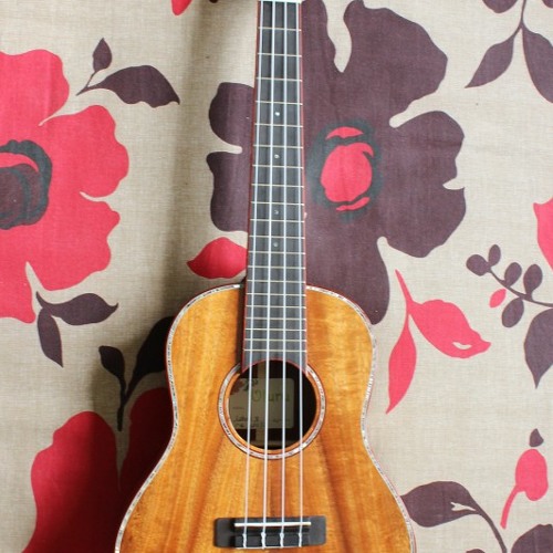 你是我的唯一 (巫启贤) ukulele cover