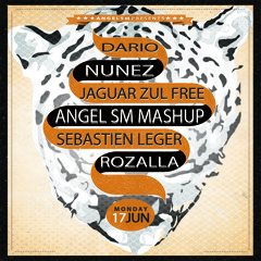 Dario Nunez & Sebastian Leger - Jaguar Zul Free (Angle SM Mashup)