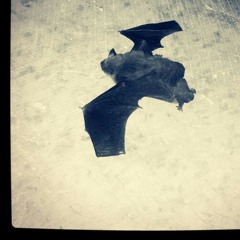 Me daba igual la tarde