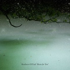 Brothers of End - Beats for you (Rasmus Hägg Remix)