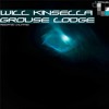 CEOLTRONIC RADIO WITH WILL KINSELLA ON RTE 2FM 22022013