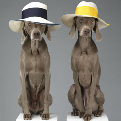 Sunday PM pt. II (continuous mix)